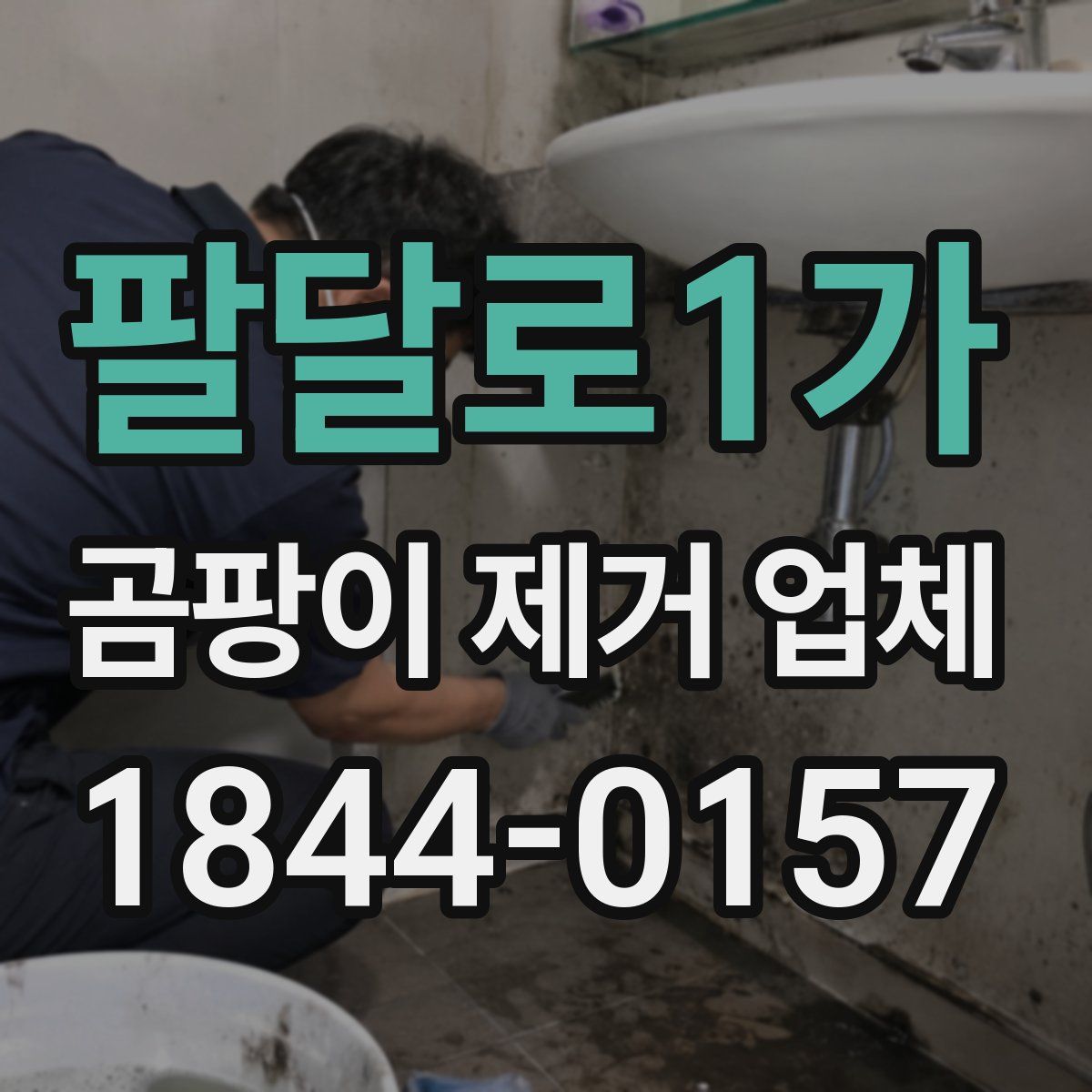 팔달로1가 곰팡이 제거 업체