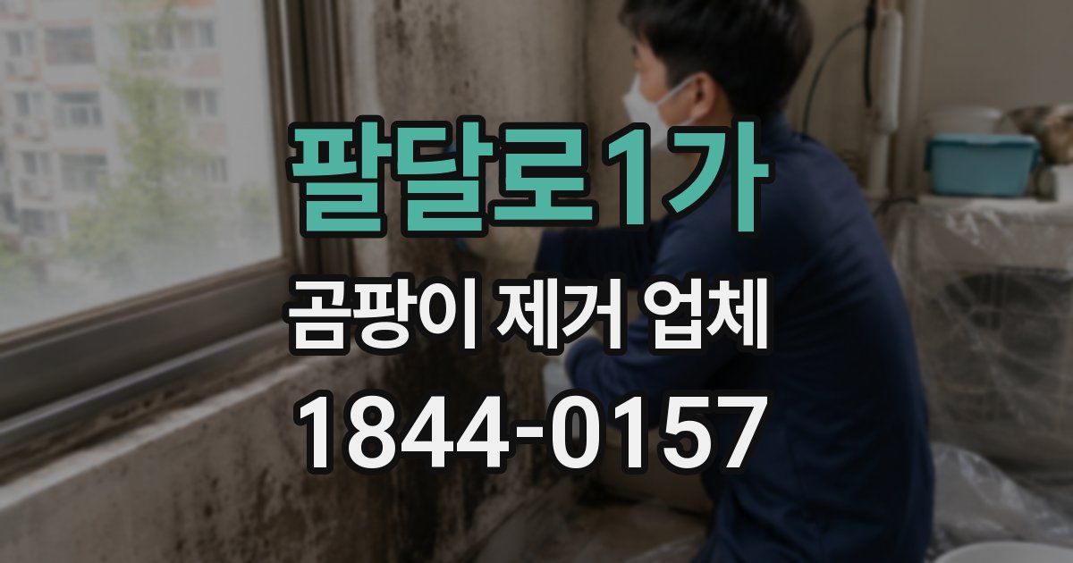 팔달로1가 곰팡이 제거 업체
