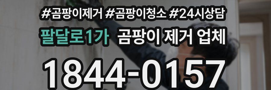 팔달로1가 곰팡이 제거 업체