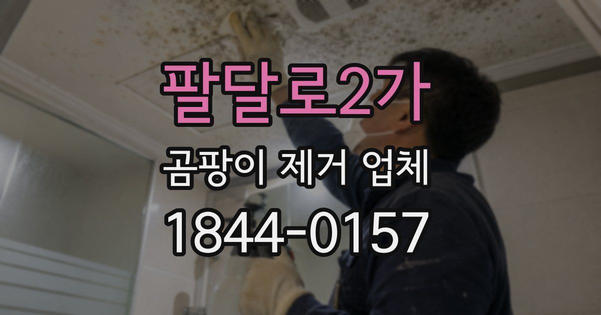 팔달로2가 곰팡이 제거 업체