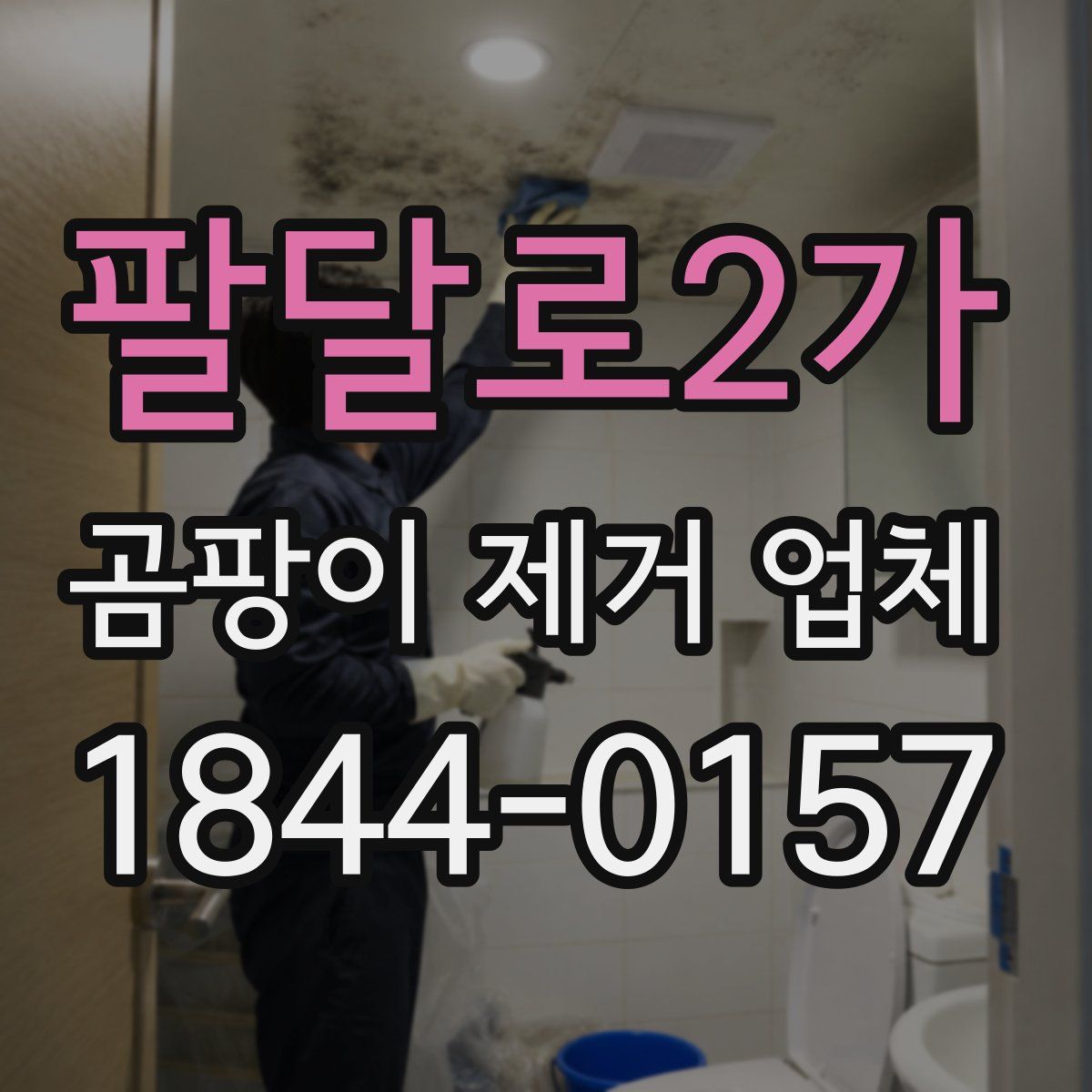 팔달로2가 곰팡이 제거 업체