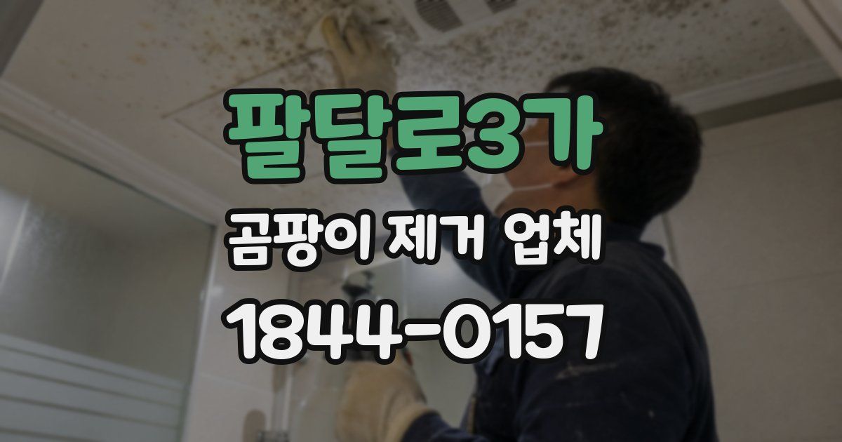 팔달로3가 곰팡이 제거 업체