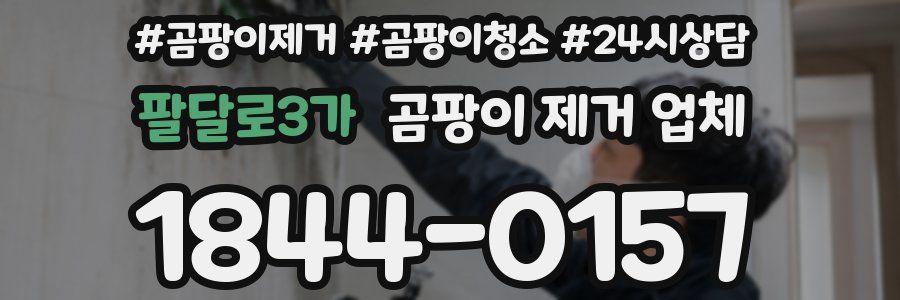 팔달로3가 곰팡이 제거 업체