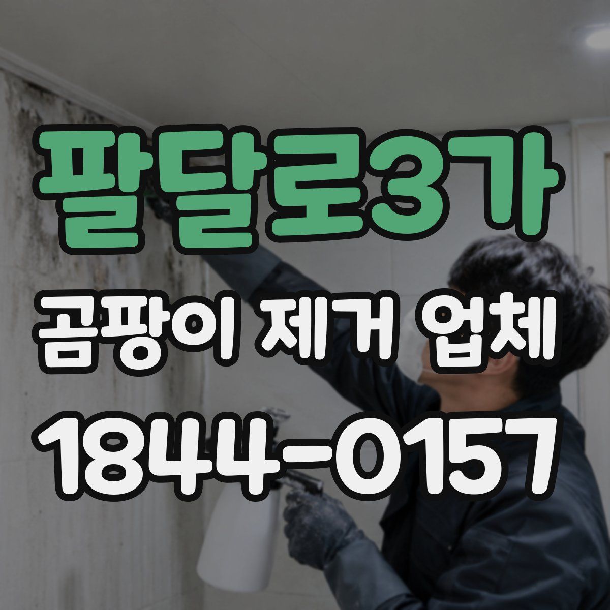 팔달로3가 곰팡이 제거 업체