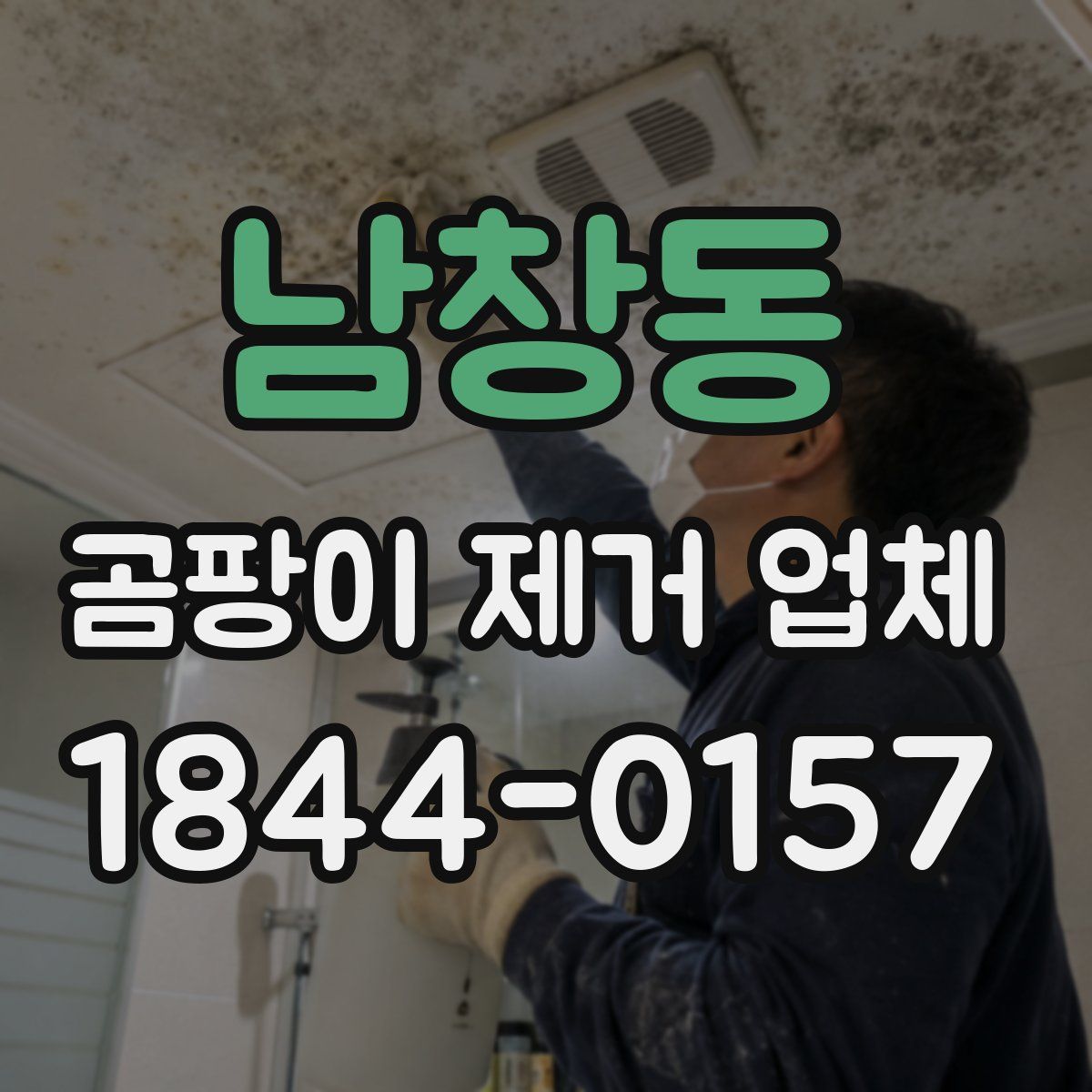 남창동 곰팡이 제거 업체