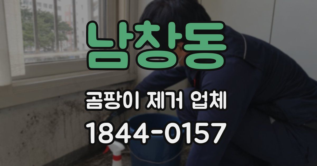 남창동 곰팡이 제거 업체