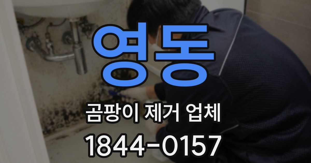 영동 곰팡이 제거 업체