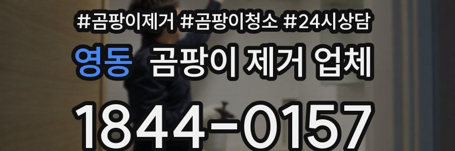 영동 곰팡이 제거 업체