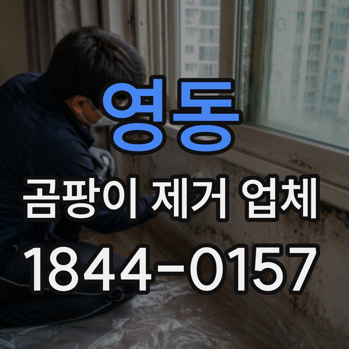 영동 곰팡이 제거 업체