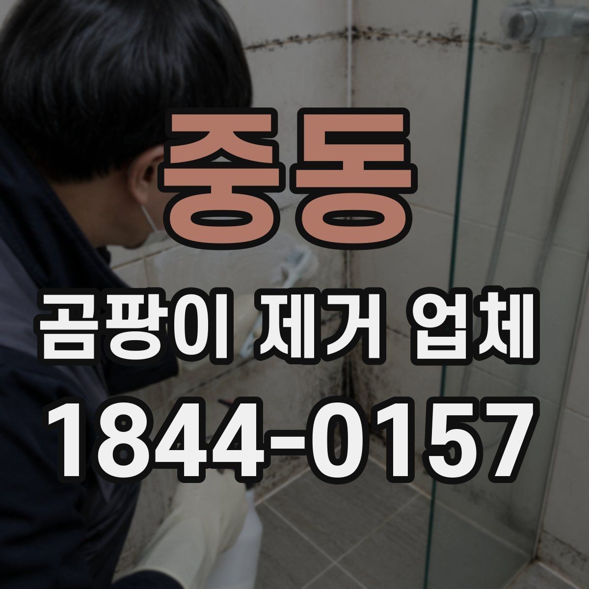 중동 곰팡이 제거 업체 반지하·저층 주택 점검이 필요한 이유