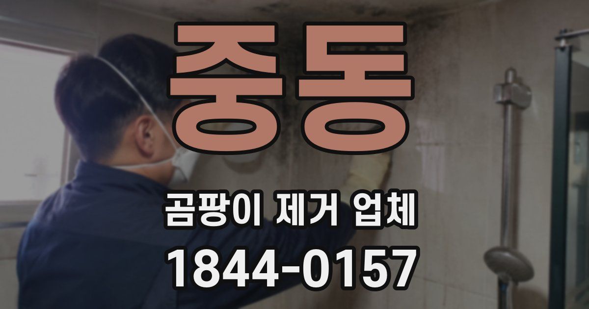 중동 곰팡이 제거 업체
