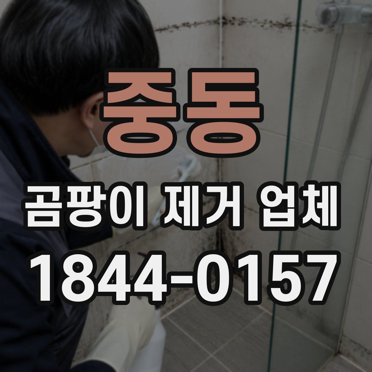 중동 곰팡이 제거 업체