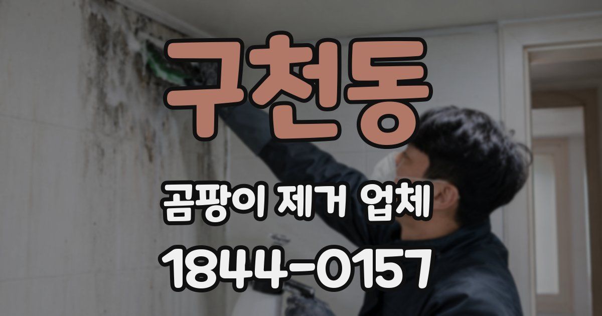 구천동 곰팡이 제거 업체