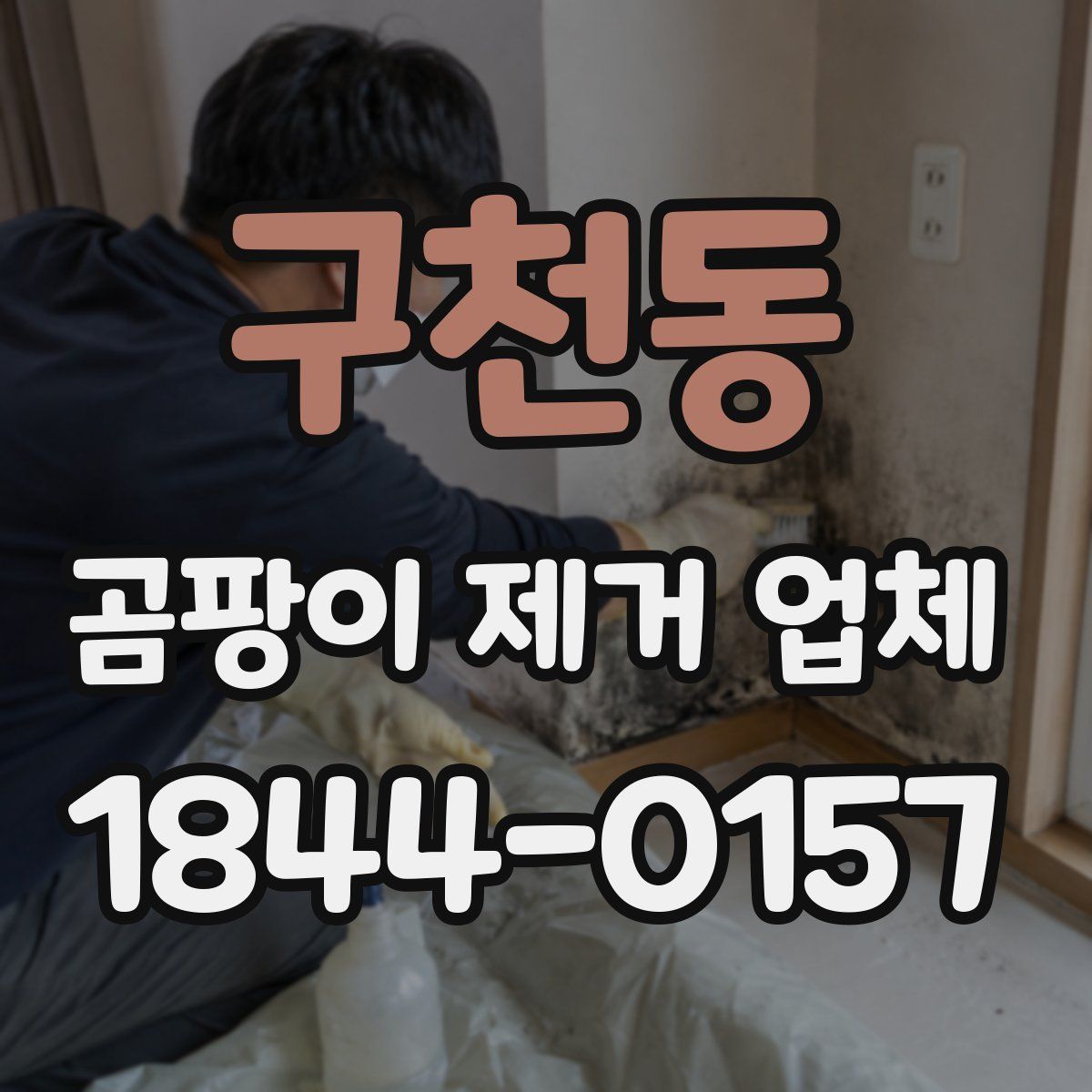 구천동 곰팡이 제거 업체