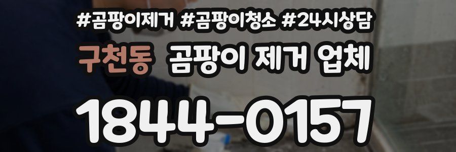 구천동 곰팡이 제거 업체