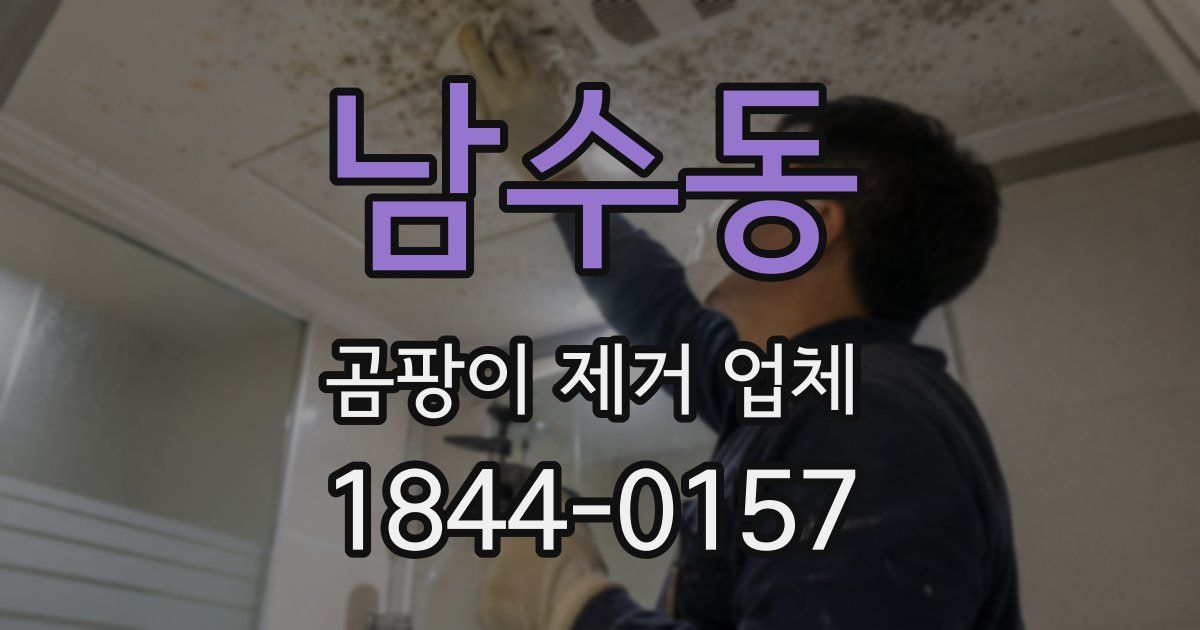 남수동 곰팡이 제거 업체