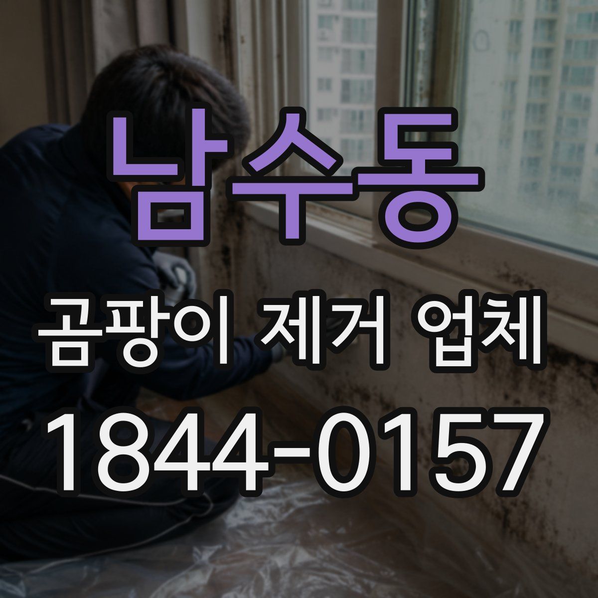 남수동 곰팡이 제거 업체