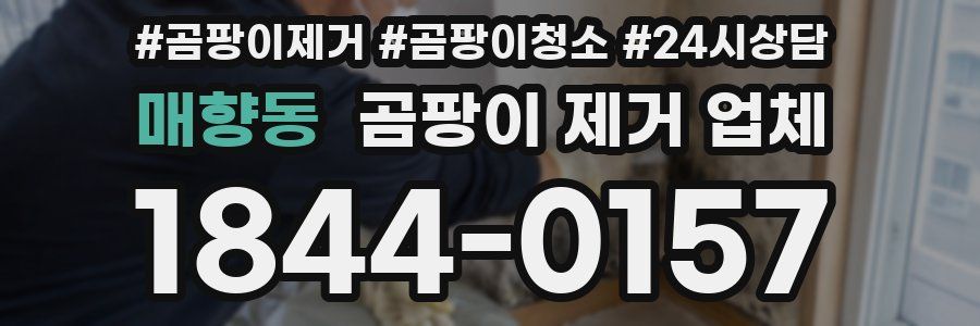 매향동 곰팡이 제거 업체