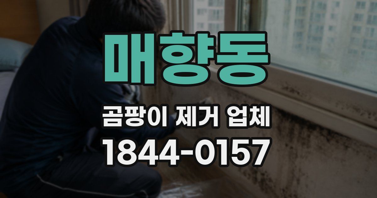 매향동 곰팡이 제거 업체