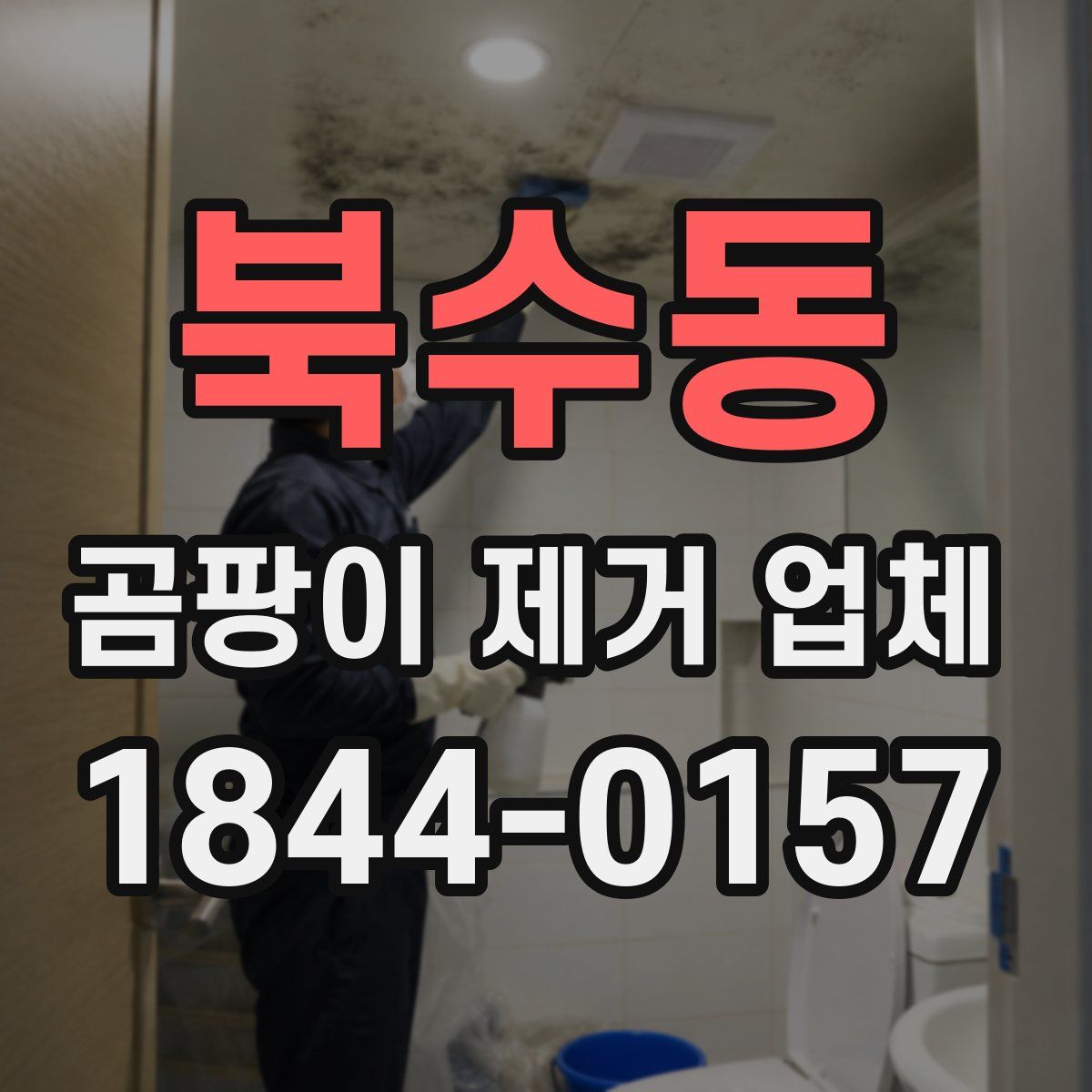 북수동 곰팡이 제거 업체