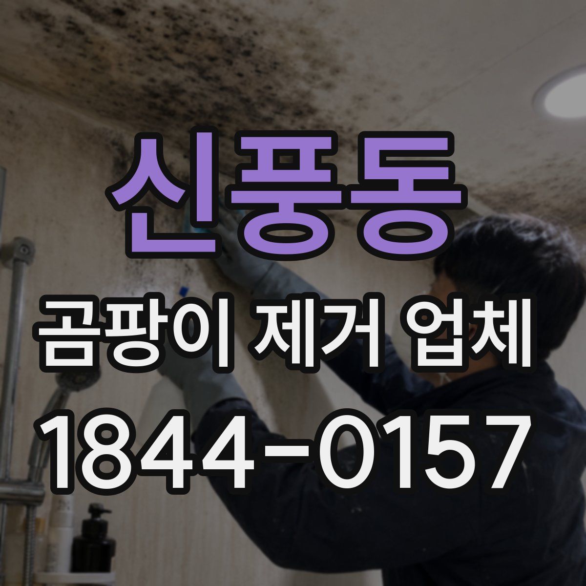 신풍동 곰팡이 제거 업체
