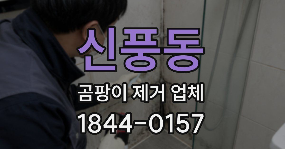 신풍동 곰팡이 제거 업체