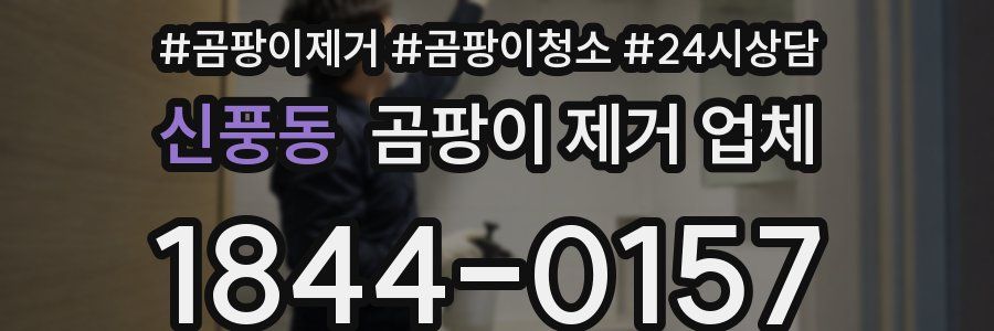 신풍동 곰팡이 제거 업체
