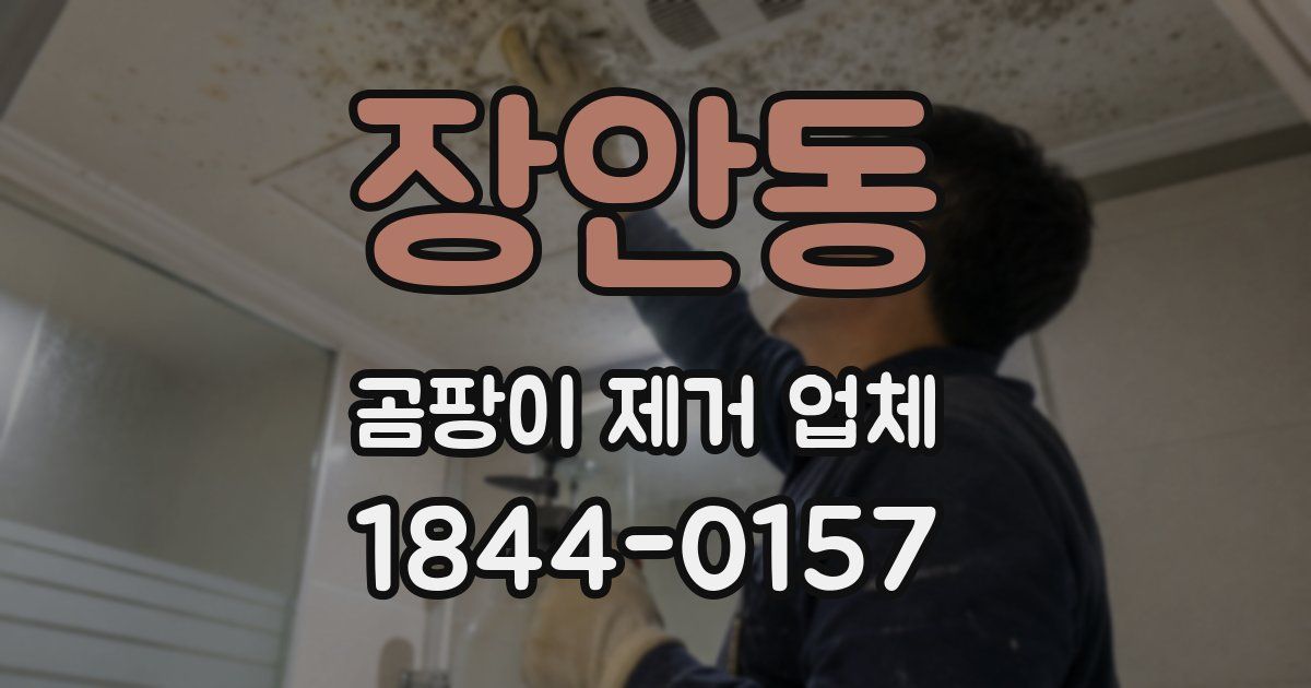 장안동 곰팡이 제거 업체