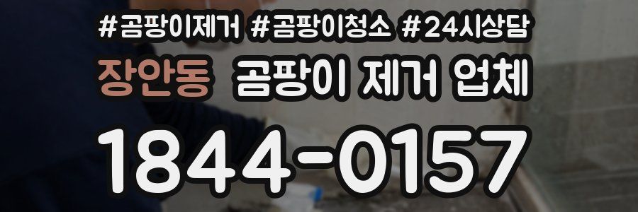 장안동 곰팡이 제거 업체