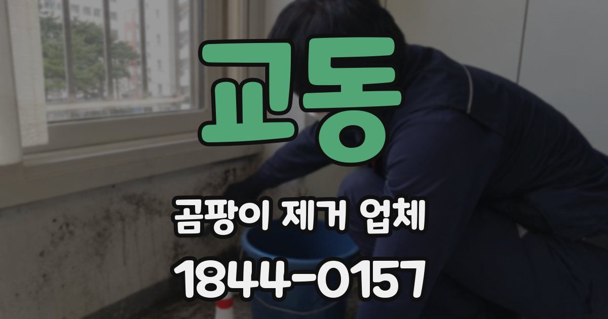 교동 곰팡이 제거 업체