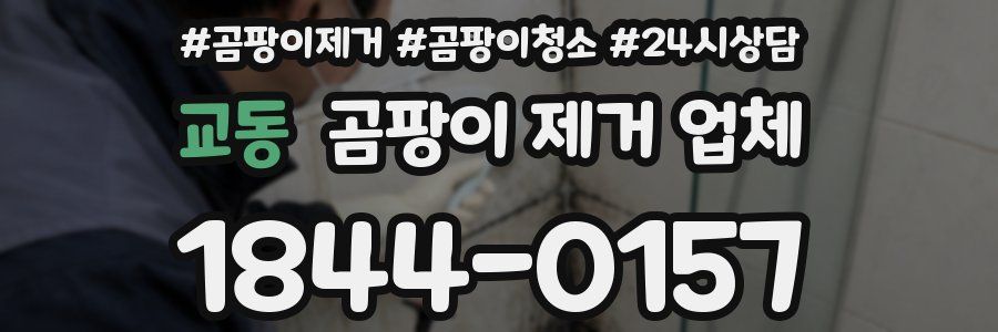 교동 곰팡이 제거 업체