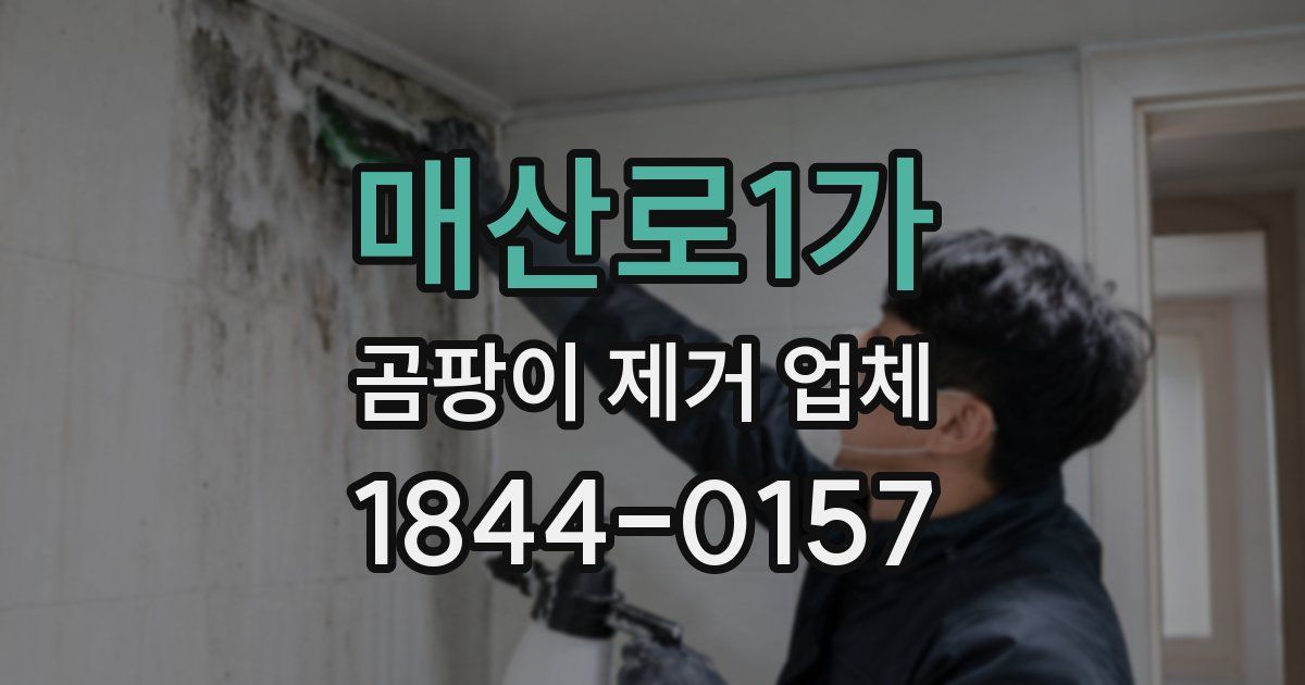 매산로1가 곰팡이 제거 업체