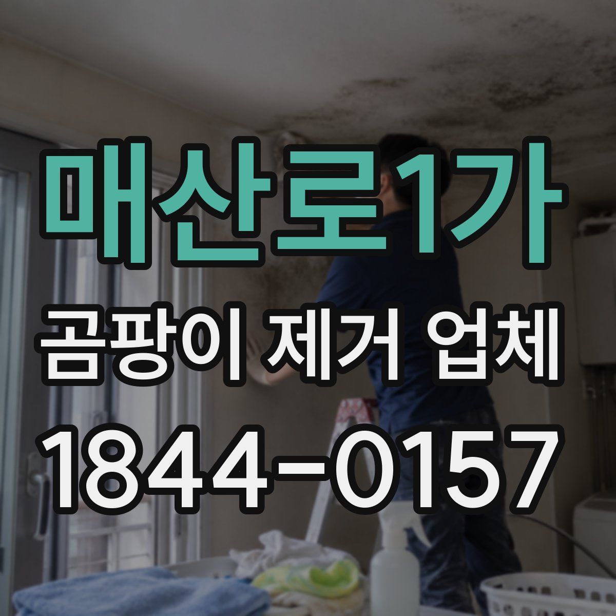 매산로1가 곰팡이 제거 업체