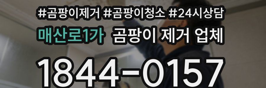 매산로1가 곰팡이 제거 업체