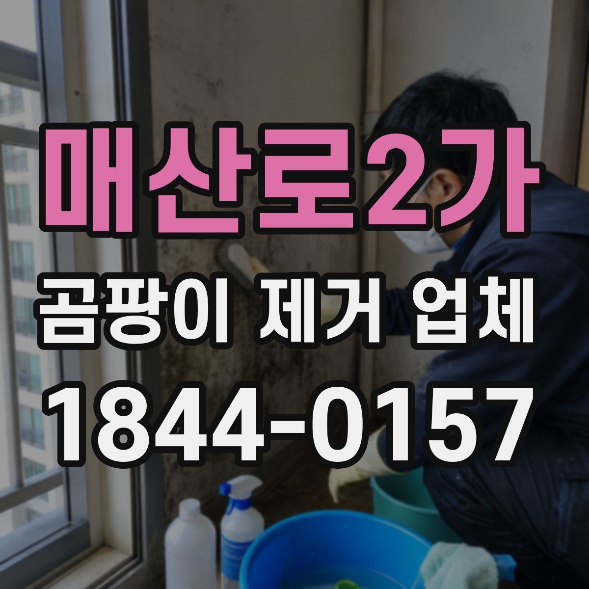 매산로2가 곰팡이 제거 업체