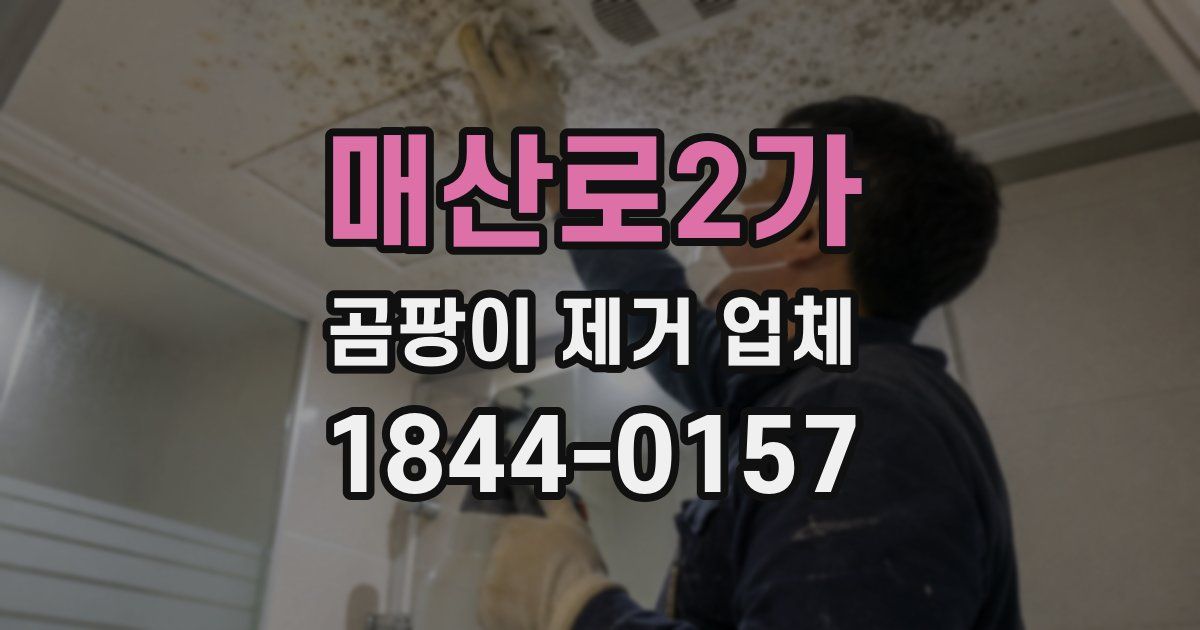 매산로2가 곰팡이 제거 업체