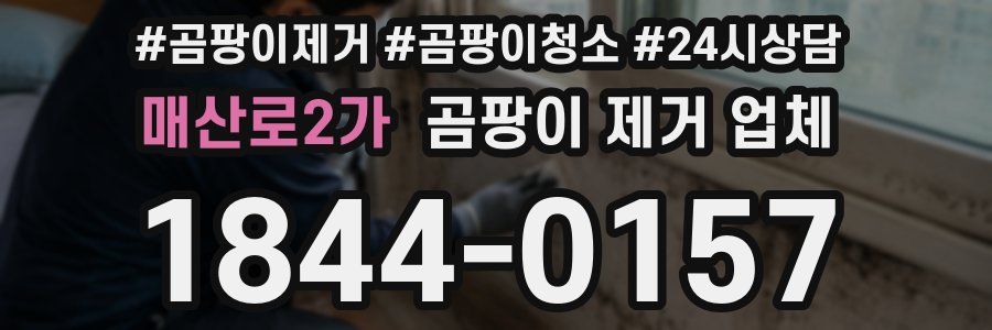 매산로2가 곰팡이 제거 업체