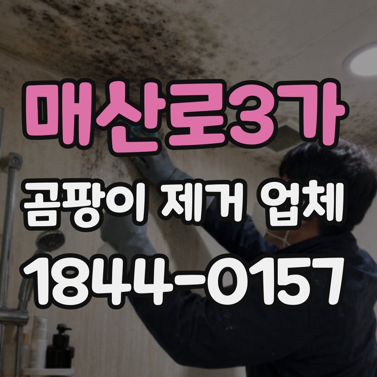 매산로3가 곰팡이 제거 업체 누수·결로·곰팡이 현장을 구분하는 실무 팁