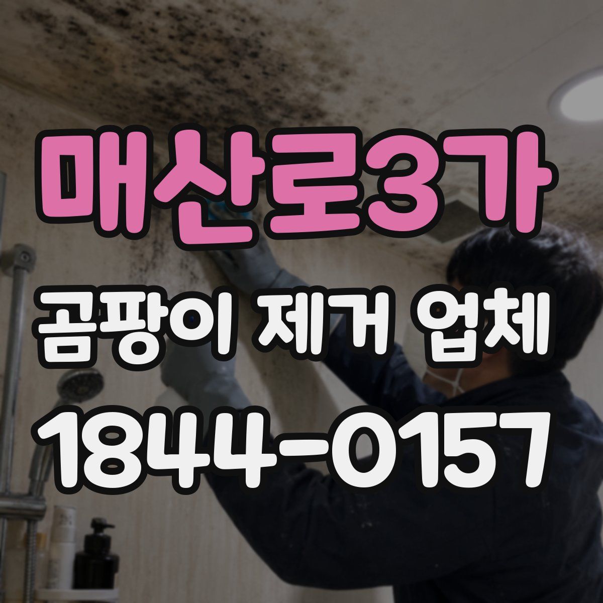 매산로3가 곰팡이 제거 업체