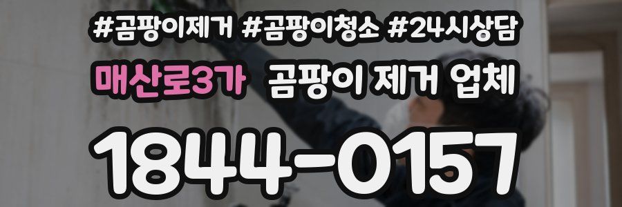 매산로3가 곰팡이 제거 업체