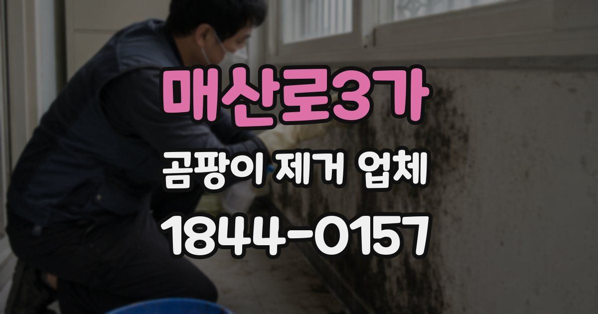 매산로3가 곰팡이 제거 업체