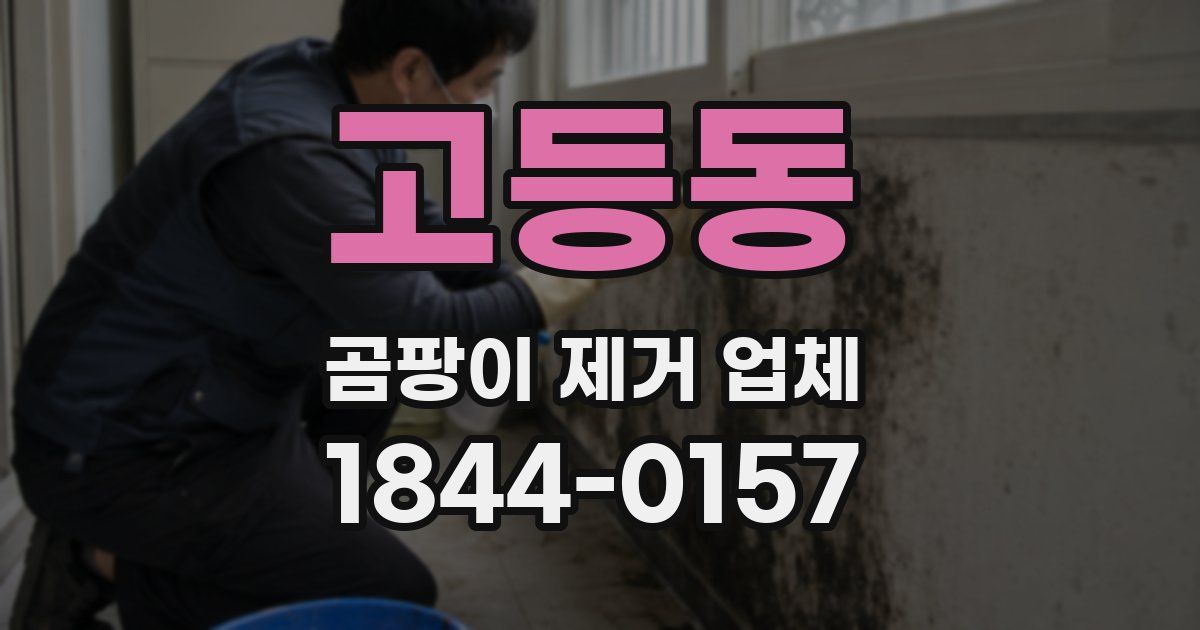 고등동 곰팡이 제거 업체