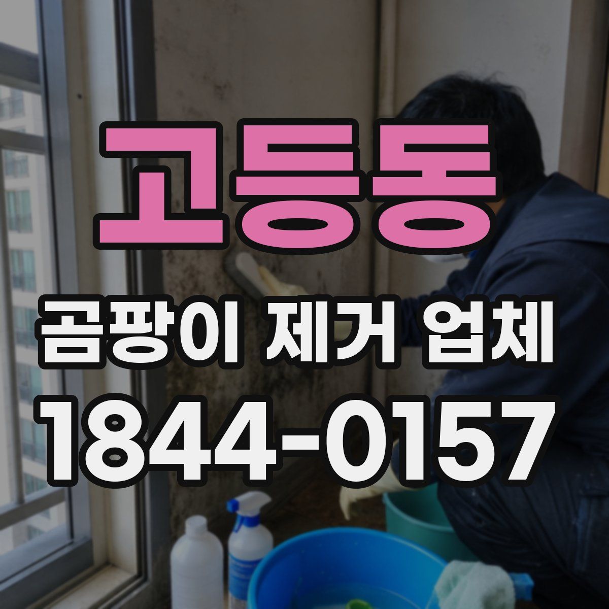 고등동 곰팡이 제거 업체