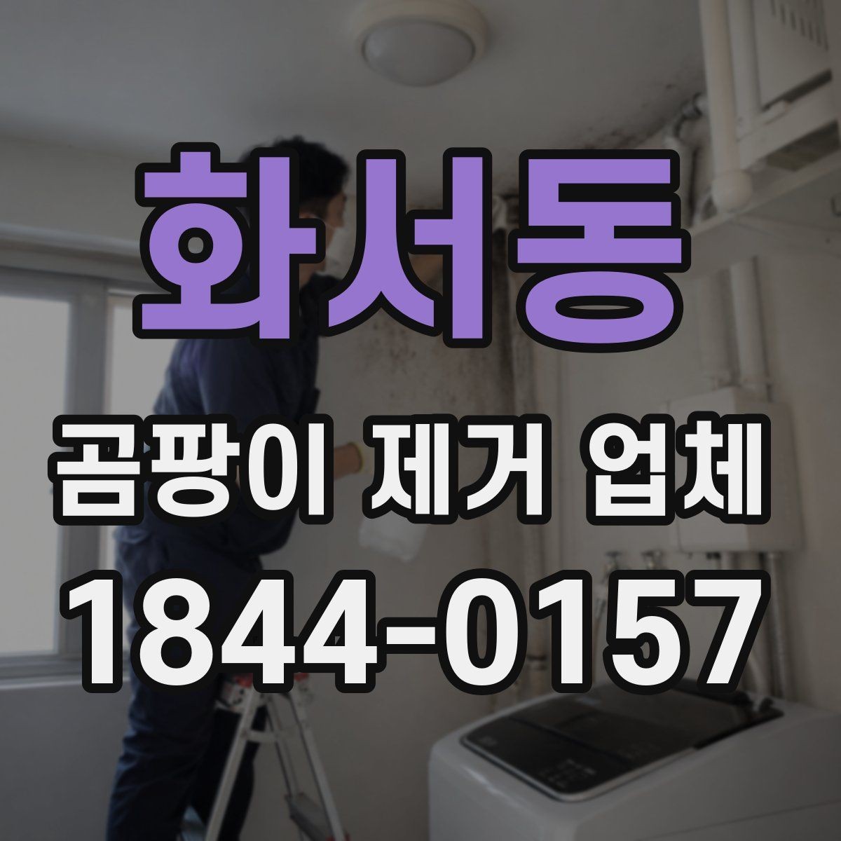 화서동 곰팡이 제거 업체 천장 변색과 번짐이 반복될 때 확인할 사항