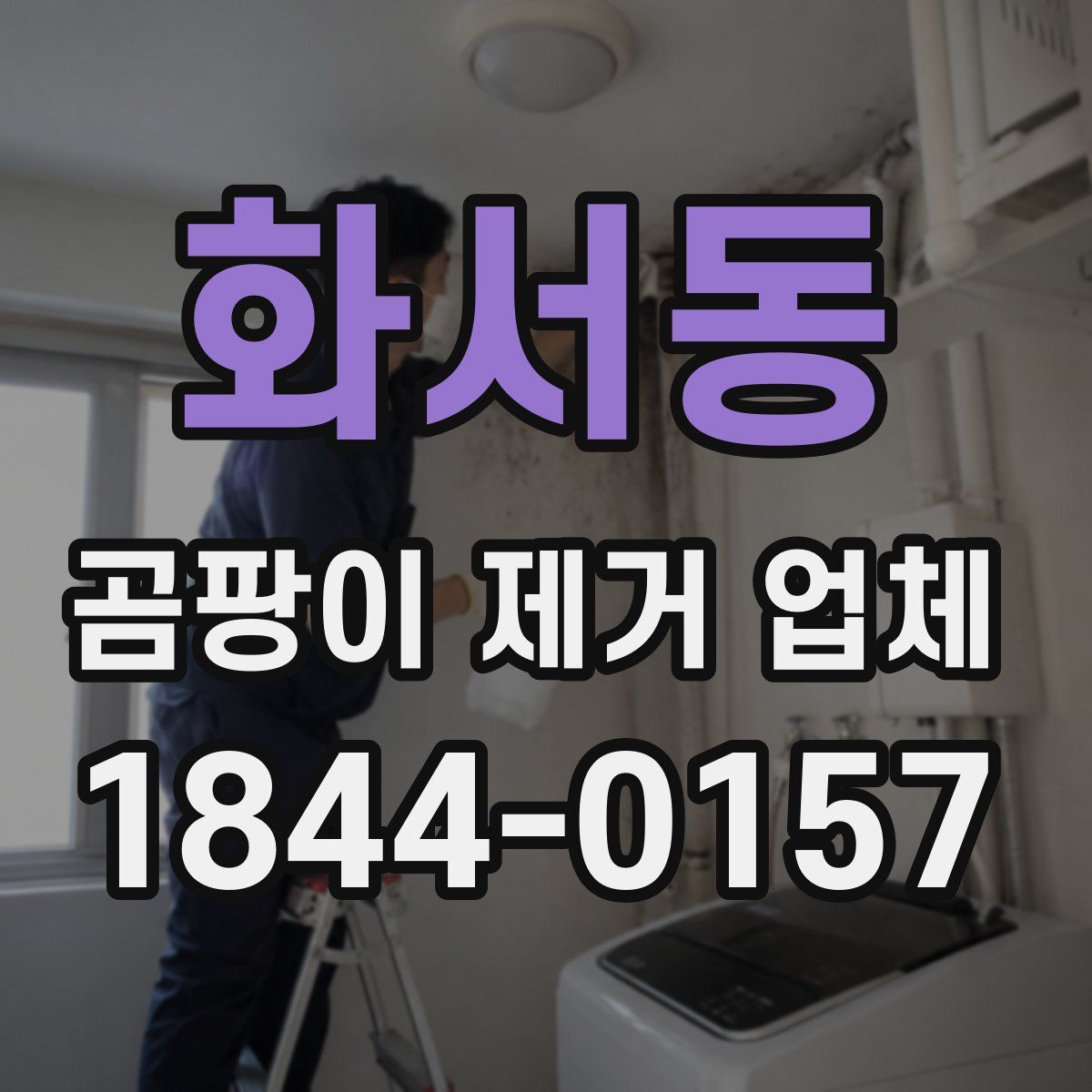 화서동 곰팡이 제거 업체