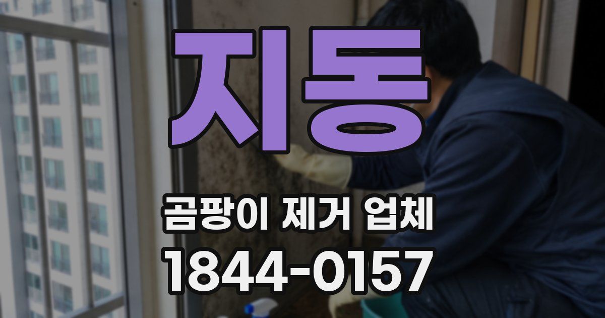 지동 곰팡이 제거 업체