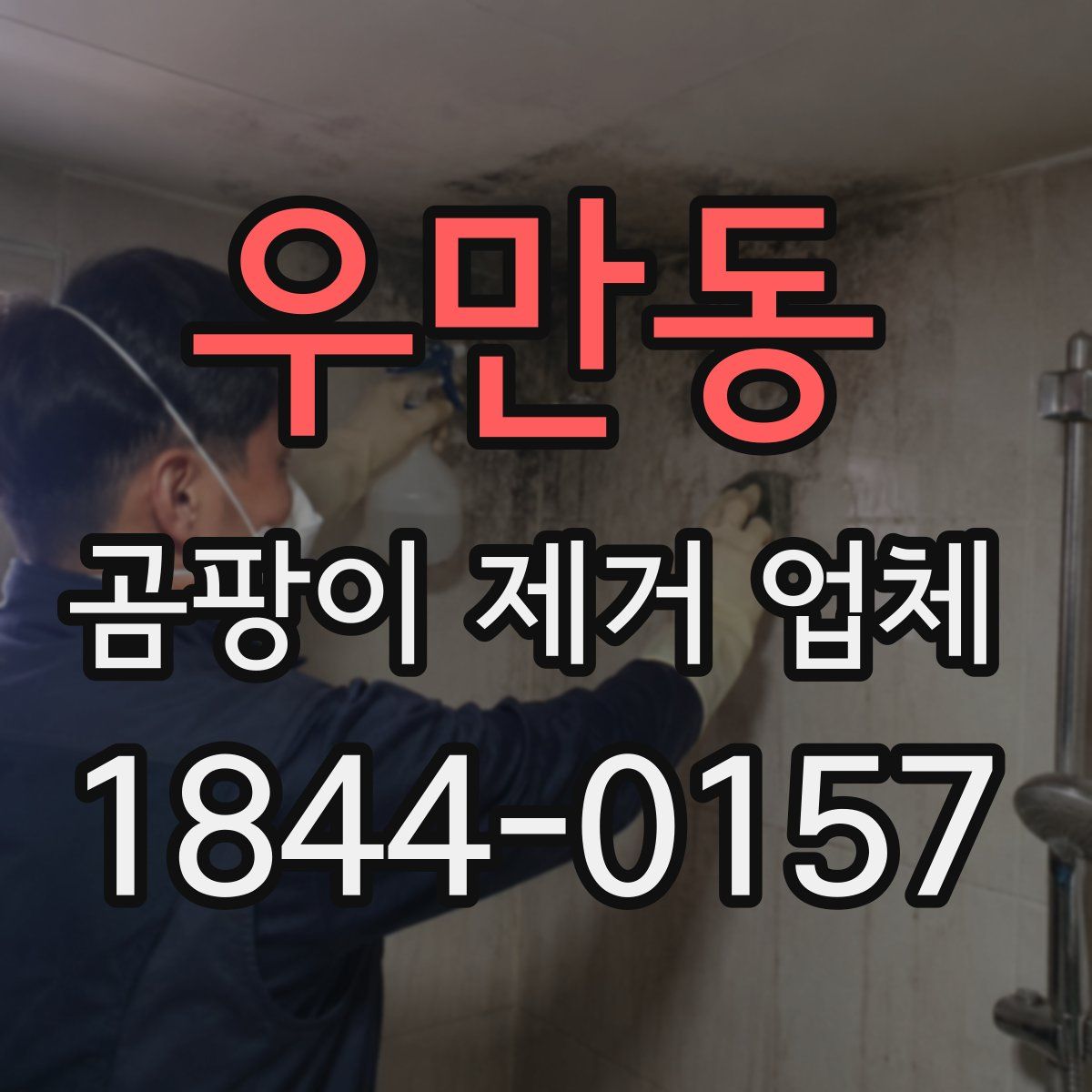우만동 곰팡이 제거 업체