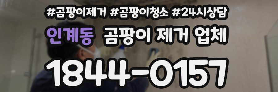 인계동 곰팡이 제거 업체