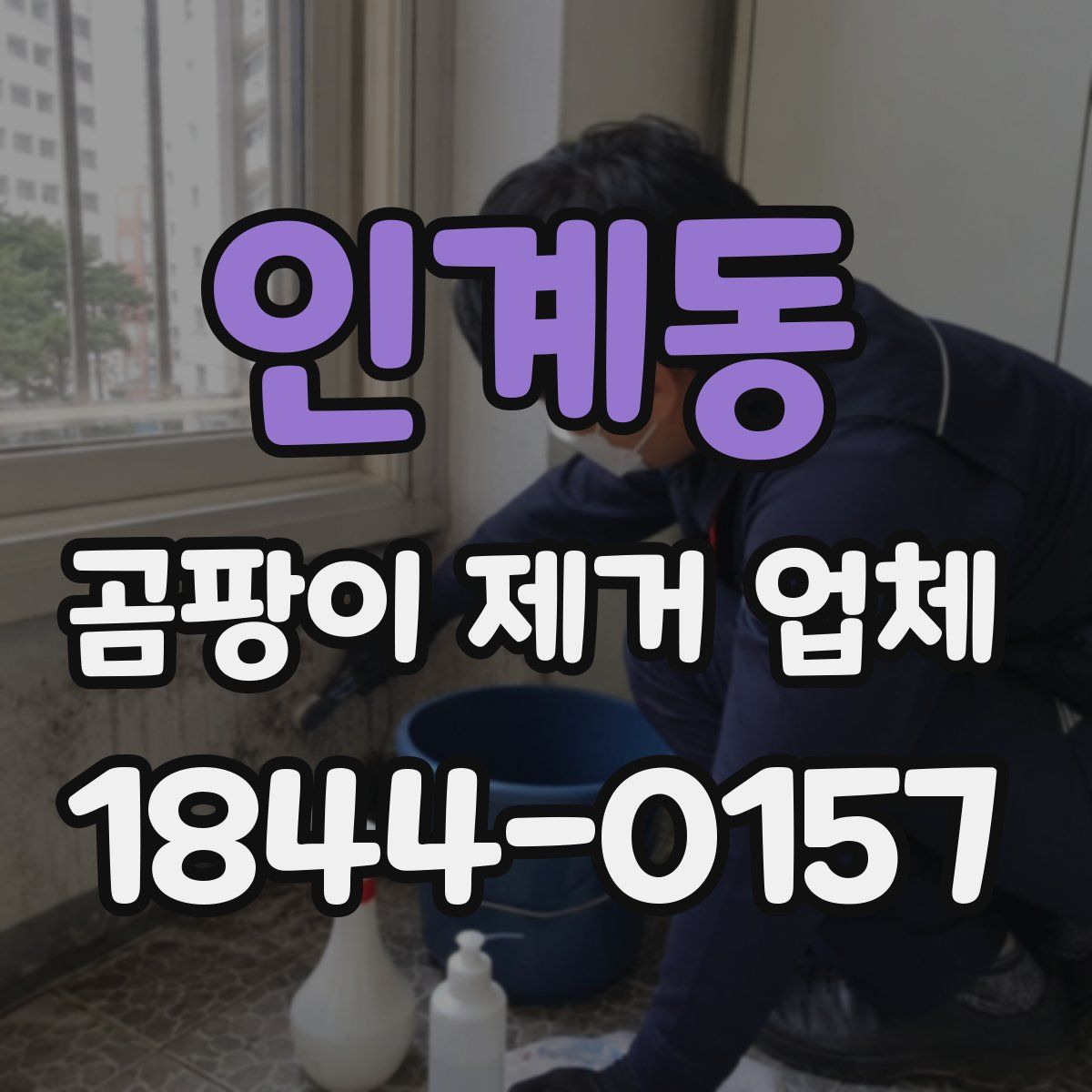인계동 곰팡이 제거 업체
