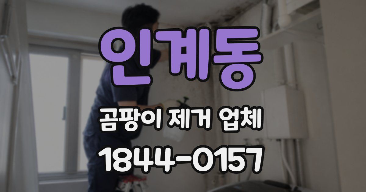 인계동 곰팡이 제거 업체
